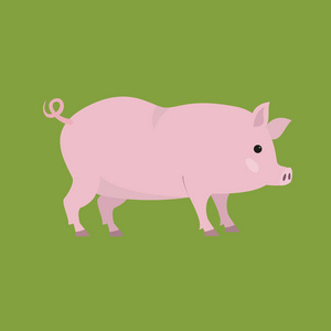 可爱的猪在绿色背景。矢量插图