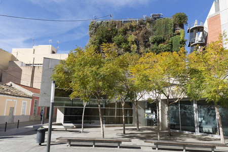 六层楼在圣维森特德尔拉斯佩奇的六层楼的垂直花园照片