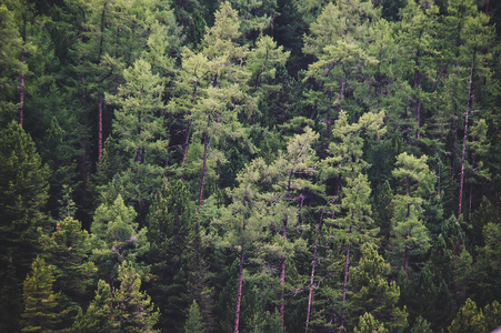 荒野背景图片-荒野背景素材-荒野背景插画-摄图新视界