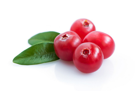 酸果蔓利口酒图片