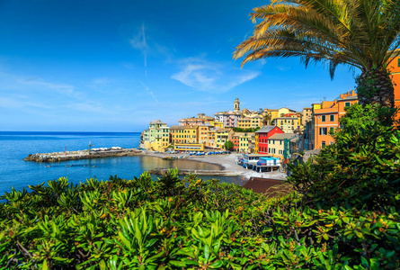 迷人的夏日海滩位置, 雄伟多彩的地中海城市和海滨, Bogliasco, 意大利, 欧洲