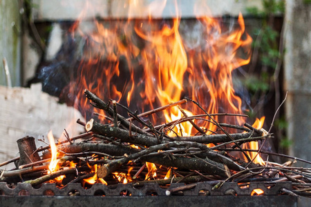 炉膛燃烧木柴和煤分支机构