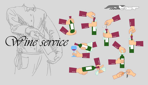 葡萄酒服务信息图表平面样式