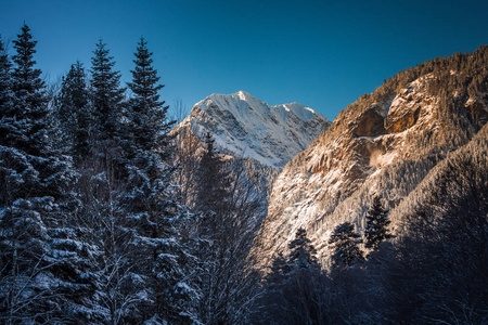 在冬天的雪下的高山。一系列照片的高加索山脉，滑雪胜地 Dombay，卡拉恰伊切尔克斯