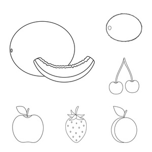 不同的水果轮廓图标集合中的设计。水果和维生素矢量符号股票 web 插图