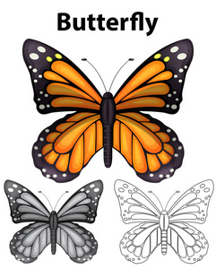 蝴蝶在三个不同的绘画风格