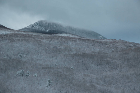 在冬天的雪下的高山。一系列照片的高加索山脉，滑雪胜地 Dombay，卡拉恰伊切尔克斯