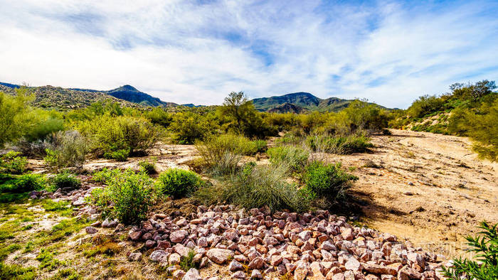 巴特利特坝路上在亚利桑那州凤凰城附近的 tonto 国家森林沙漠景观