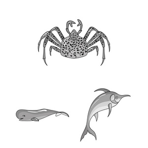 各种海洋动物的单色图标集为设计集合。鱼和贝类矢量符号股票网页插图