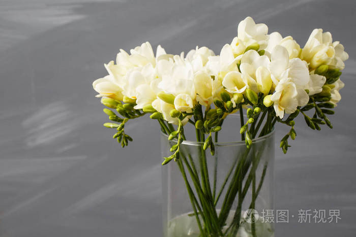 白色小苍兰花在背景的灰色墙上的装饰花瓶