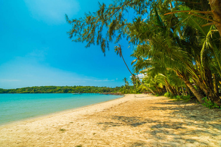 美丽的热带海滩和海与椰子棕榈树在 parad