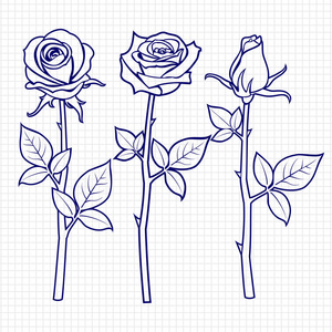 玫瑰花素描图片-玫瑰花素描素材-玫瑰花素描插画-摄图新视界