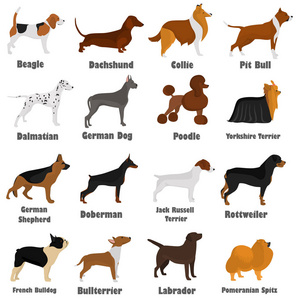 不同品种的狗赛斯彩色平面图标 s 针对 web 和移动设计