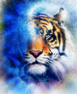 老虎的拼贴在色彩抽象背景和曼陀罗与装饰，绘画野生动物