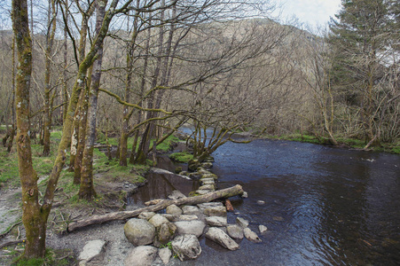 河 Rothay 在白色青苔散步, 风景森林消遣区域在安布尔赛德, 湖区国家公园在南累克林, 英国, 英国
