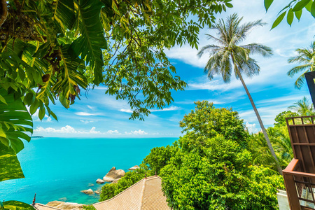 棕榈树美丽的海景海滩和海与椰子棕榈树在苏梅岛岛泰国旅游和度假照片