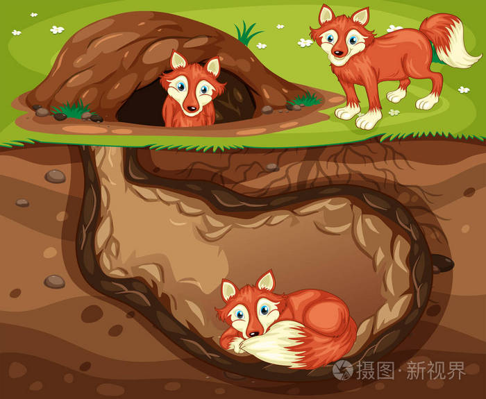 狐狸家庭生活地下例证