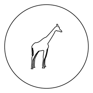 圆圈轮廓矢量图象中的长颈鹿黑色图标