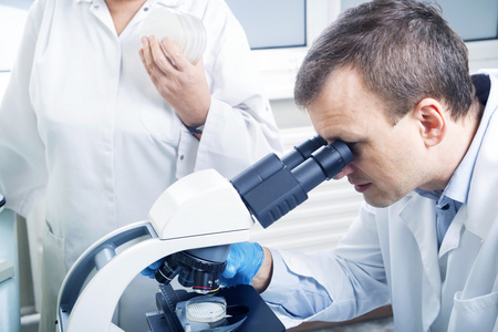 科学家通过显微镜在实验室中寻找