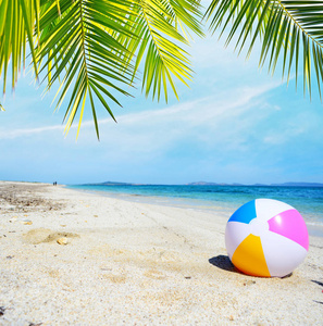 海边的棕榈树下的沙滩球