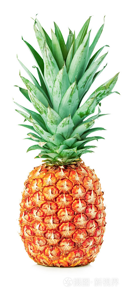 孤立在白色背景上的成熟整个美味的菠萝特写照片-正版商用图片0ojdhy