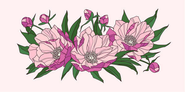 粉红色牡丹花的组成。矢量插图