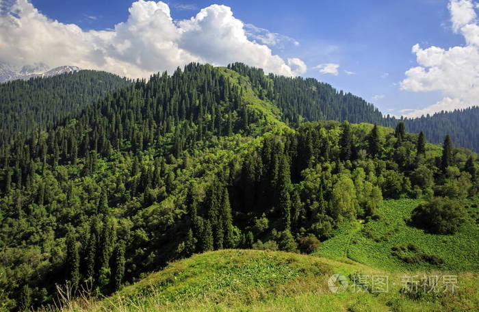 夏季反伊犁alatau山中的森林与云彩