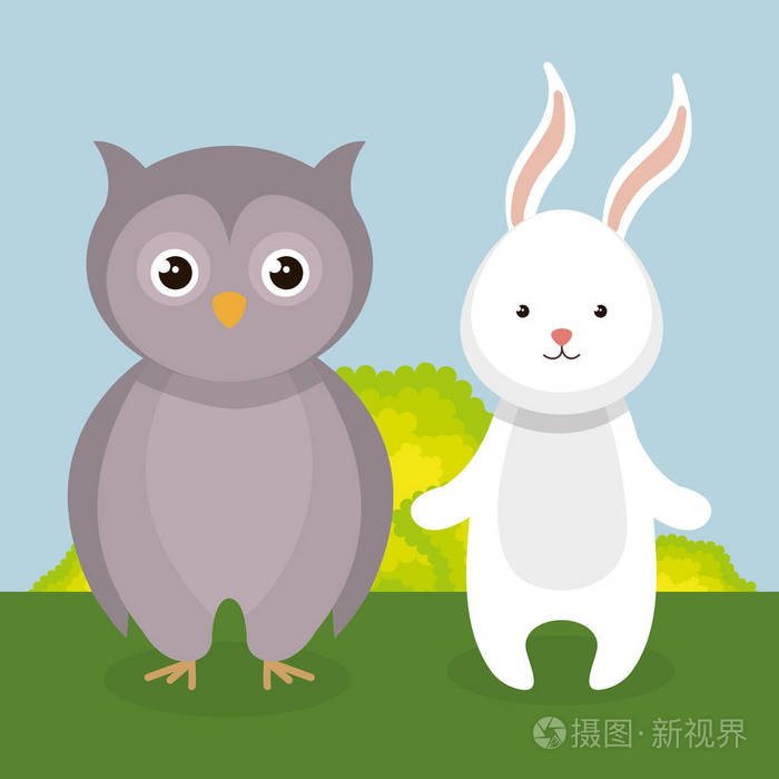 可爱的兔子和猫头鹰在田野风景字符
