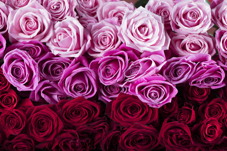 色彩鲜艳的玫瑰花束图片