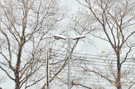 电电线_电电线素材图片_电电线图片素材下载_摄图新视界xsj.699pic.