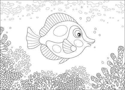 蝴蝶鱼图片-蝴蝶鱼素材-蝴蝶鱼插画-摄图新视界