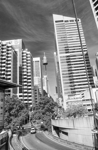 悉尼天际线从街面上美好的一天
