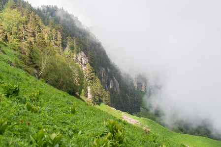 高加索地区自然保护区风景秀丽的群山