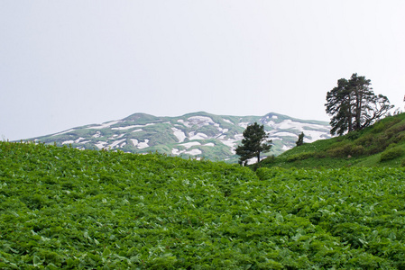 高加索地区自然保护区风景秀丽的群山