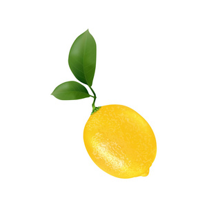 新鲜果汁的柠檬水果。3d. 逼真的黄色成熟柠檬, 在白色背景下与绿色叶子隔绝, 用于包装或网页设计。矢量 Eps 10