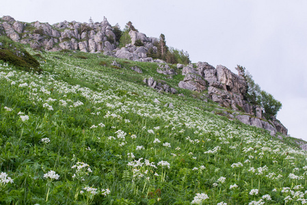 高加索地区自然保护区风景秀丽的群山