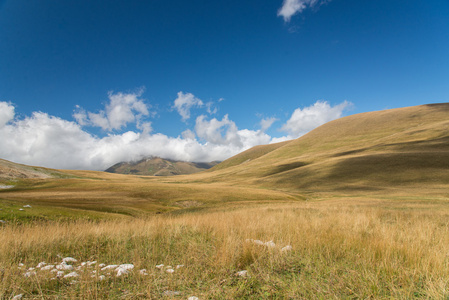 美丽和雄伟山脉的高加索地区自然保护区