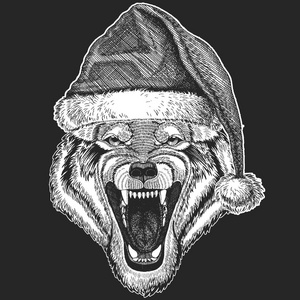 狼, 狗圣诞节, 新年庆典。圣诞老人的冬天帽子。圣诞头饰