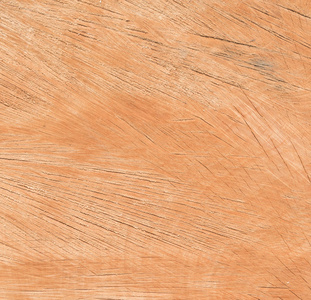 切割树干的木材纹理特写。天然木材背景