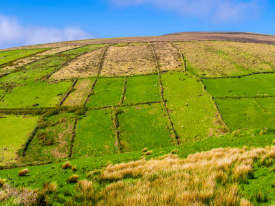 爱尔兰的青山丁格尔半岛的典型景观