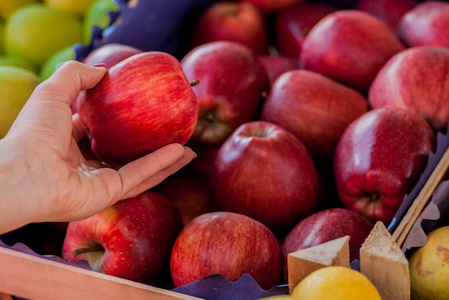 女性只有只有最好的水果和蔬菜.美丽的年轻女子控股苹果.