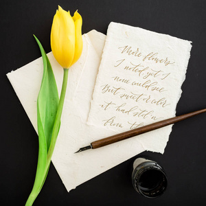 用黄色郁金香在黑色背景上用蘸笔和墨盒的老式纸页