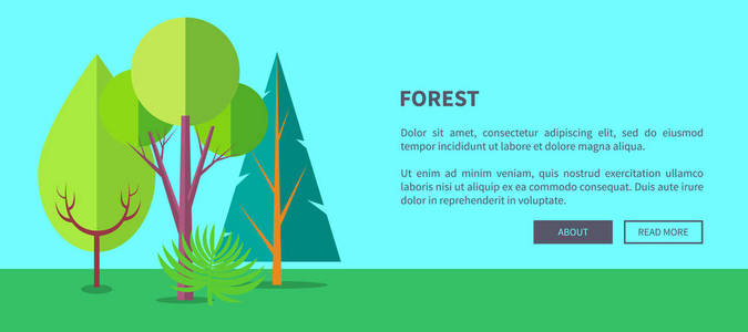森林向量网横幅与树和灌木