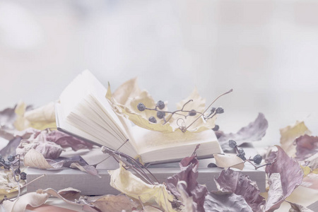 阳光明媚的心情图片