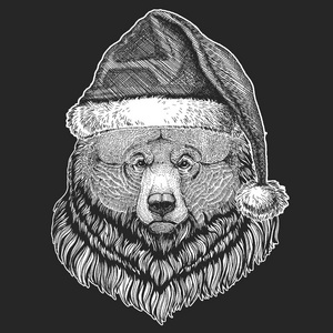 灰熊大野熊圣诞节, 新年庆典。圣诞老人的冬天帽子。圣诞头饰