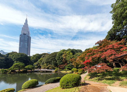 秋天在新宿公园, 东京, 日本。复制文本空间