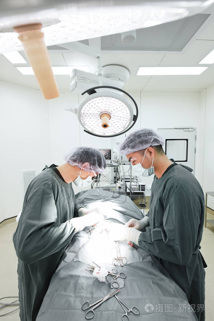 两名兽医外科医生在手术室里照片-正版商用图片0okx6y-摄图新视界