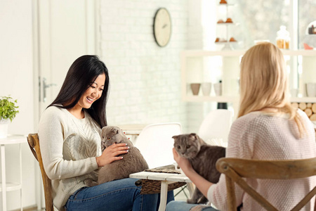 快乐的女人在猫咖啡馆休息