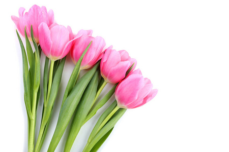 孤立在白色背景上的粉色郁金香花束