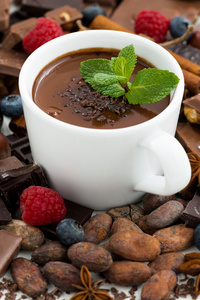 热巧克力薄荷在一杯和配料，特写